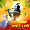 About Krishnay Vasudevay Harye Song